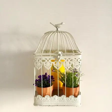 Il Canto Della Sirena *